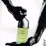 Cartier Pasha De Cartier Men Perfume 3.3oz 100ml EAU DE TOILETTE SPRAY  