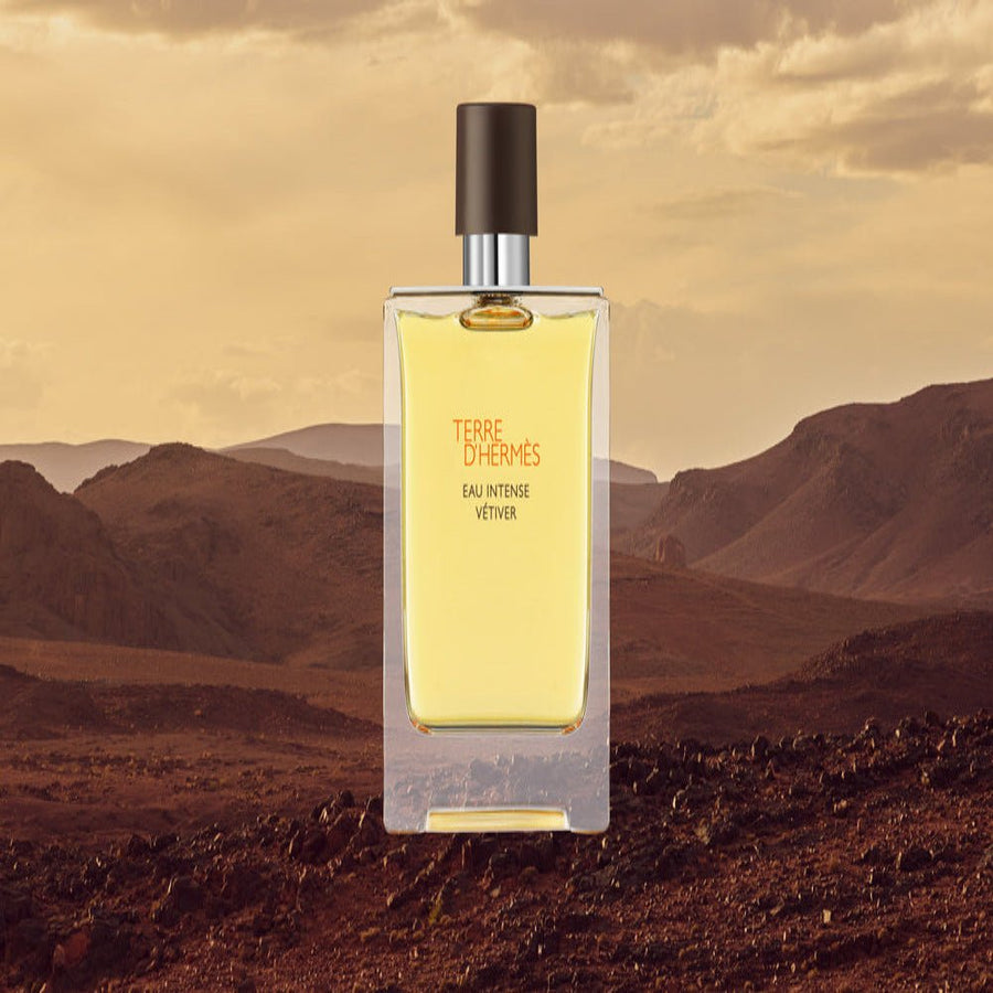 Hermes Terre D'Hermes Intense Vetiver | Ramfa Beauty