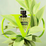 Born in Roma Green Stravaganza EDP (L)