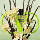 Born in Roma Green Stravaganza EDP (L)
