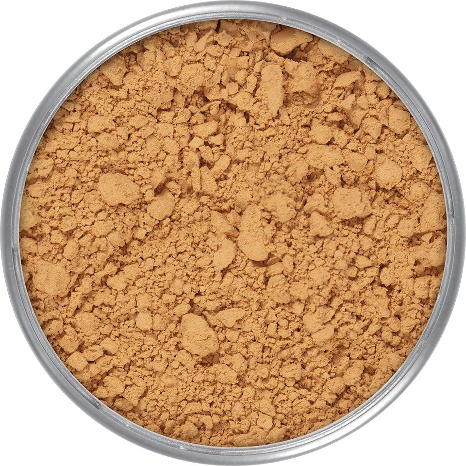 Kryolan Translucent Powder | Ramfa Beauty #color_TL 5