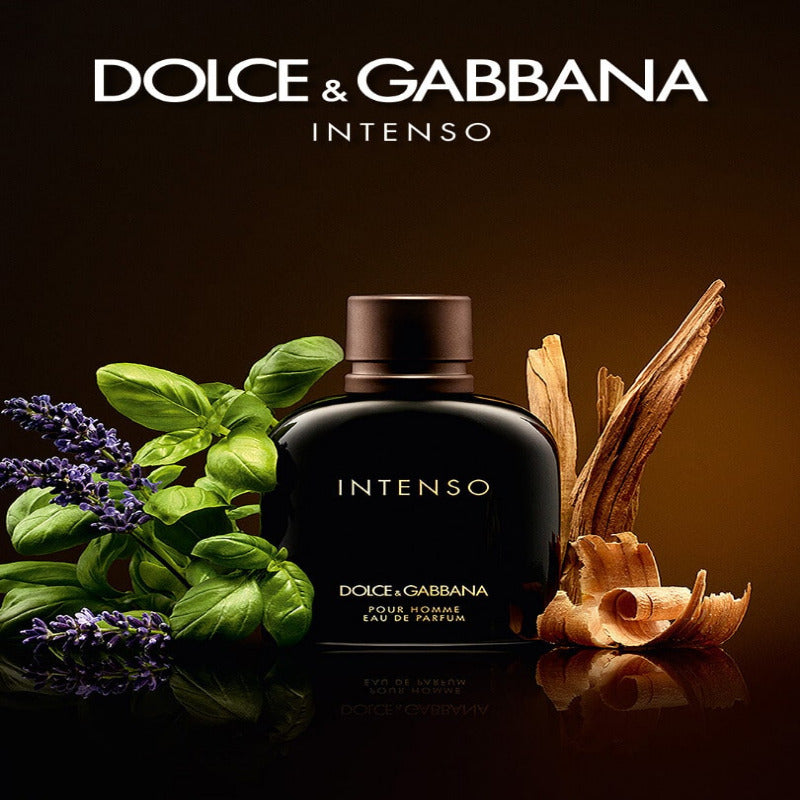 Dolce & Gabbana Intenso Pour Homme | Ramfa Beauty