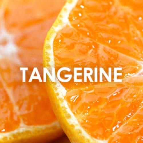 Britney Spears Believe Women Perfume 3.4oz 100ml EAU DE PARFUME SPRAY  