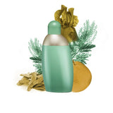 Cacharel Eden Women Perfume 1.7oz 50ml EAU DE PARFUM SPRAY  