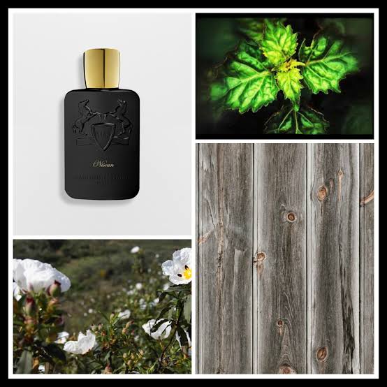 Parfums De Marly Nisean EDP Women Perfume 4.2oz 125ml EAU DE PERFUME SPRAY