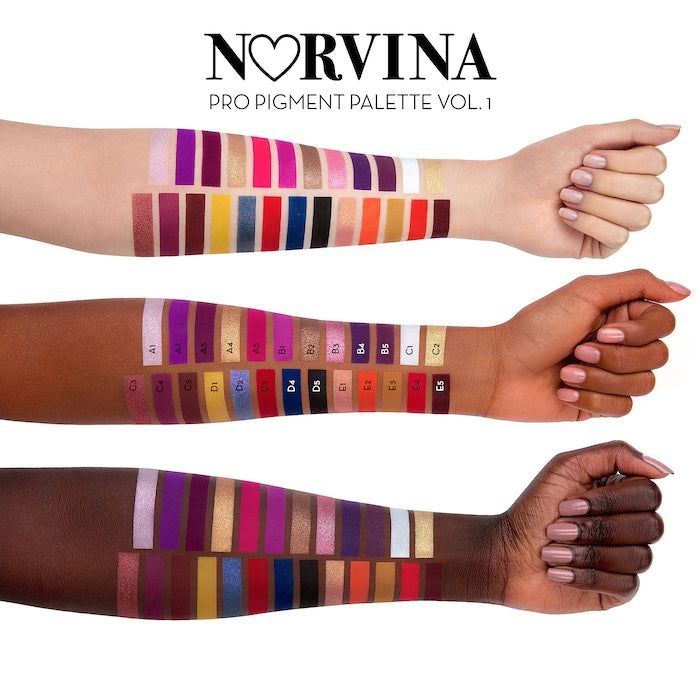 Anastasia Beverly Hills Norvina Pigment Vol 1 | Ramfa Beauty